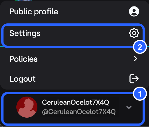 The bottom-left account menu with Settings outlined in blue.